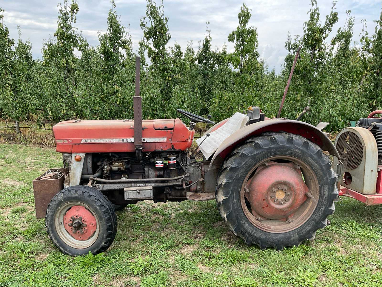 Massey Ferguson 135 - Traktor: pilt 2 Massey Ferguson 135 - Traktor: pilt 2