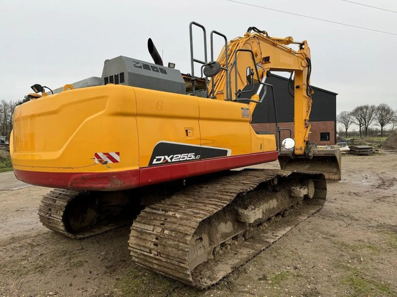 Doosan DX255LC-5 2015 10800 hr STRAIGHT FROM WORK ! DUTCH MACHINE ! - Lintekskavaator: pilt 4 Doosan DX255LC-5 2015 10800 hr STRAIGHT FROM WORK ! DUTCH MACHINE ! - Lintekskavaator: pilt 4