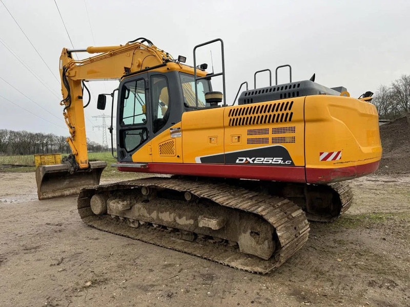 Doosan DX255LC-5 2015 10800 hr STRAIGHT FROM WORK ! DUTCH MACHINE ! - Lintekskavaator: pilt 2 Doosan DX255LC-5 2015 10800 hr STRAIGHT FROM WORK ! DUTCH MACHINE ! - Lintekskavaator: pilt 2