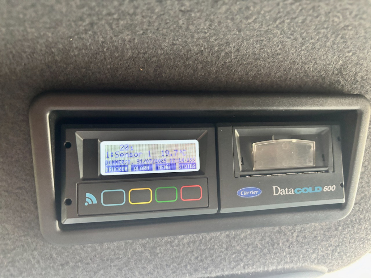 Tarbesõiduk külmik MERCEDES 316 CDI: pilt 11