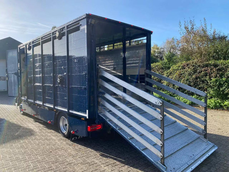 DAF LF 280 - Loomaveok: pilt 5 DAF LF 280 - Loomaveok: pilt 5