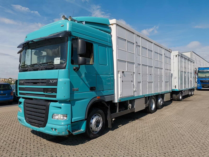 DAF XF 105.460 - Animal transporter + trailer - Loomaveok: pilt 1 DAF XF 105.460 - Animal transporter + trailer - Loomaveok: pilt 1