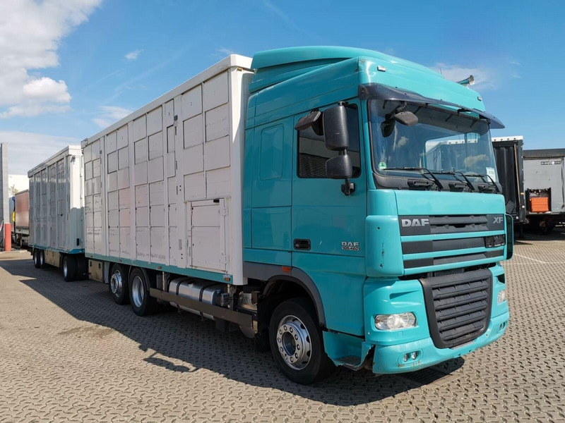 DAF XF 105.460 - Animal transporter + trailer - Loomaveok: pilt 2 DAF XF 105.460 - Animal transporter + trailer - Loomaveok: pilt 2
