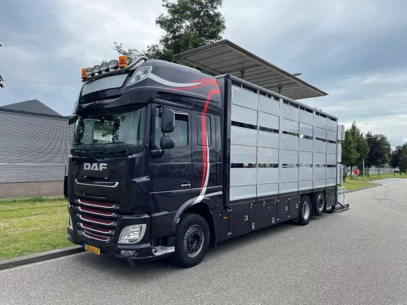 DAF XF 460 - Animal transporter - Loomaveok: pilt 3 DAF XF 460 - Animal transporter - Loomaveok: pilt 3