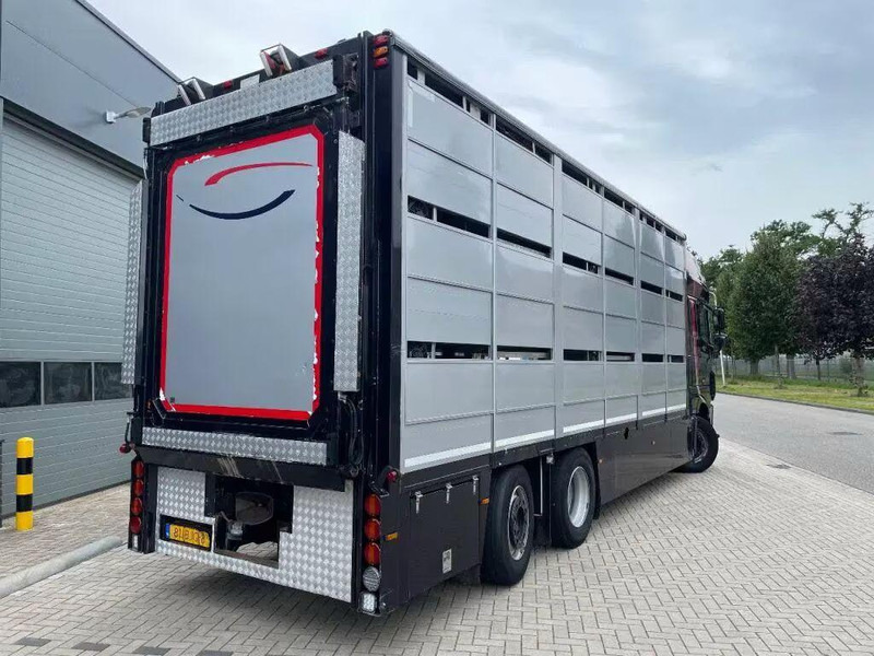 DAF XF 460 - Animal transporter - Loomaveok: pilt 5 DAF XF 460 - Animal transporter - Loomaveok: pilt 5