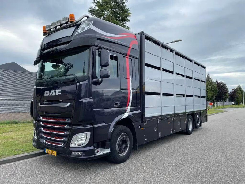 DAF XF 460 - Animal transporter - Loomaveok: pilt 1 DAF XF 460 - Animal transporter - Loomaveok: pilt 1