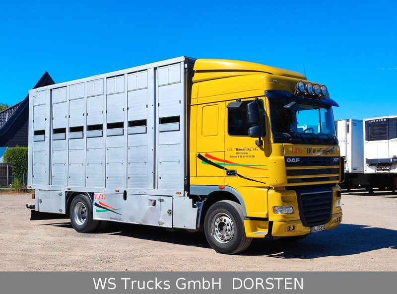 DAF XF410 Menke Doppelstock - Loomaveok: pilt 4 DAF XF410 Menke Doppelstock - Loomaveok: pilt 4