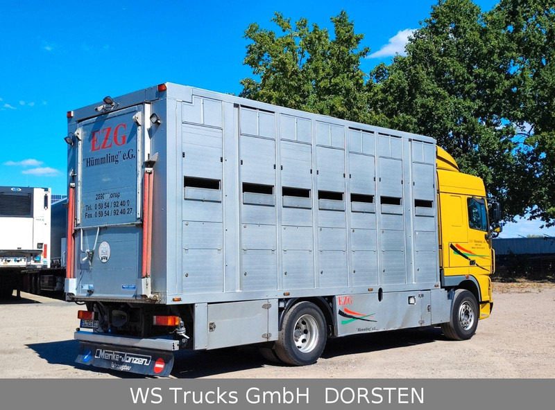 DAF XF410 Menke Doppelstock - Loomaveok: pilt 5 DAF XF410 Menke Doppelstock - Loomaveok: pilt 5