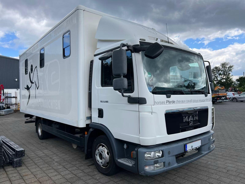 MAN TGL 8.180 - Horse transporter - Hobuseauto: pilt 2 MAN TGL 8.180 - Horse transporter - Hobuseauto: pilt 2
