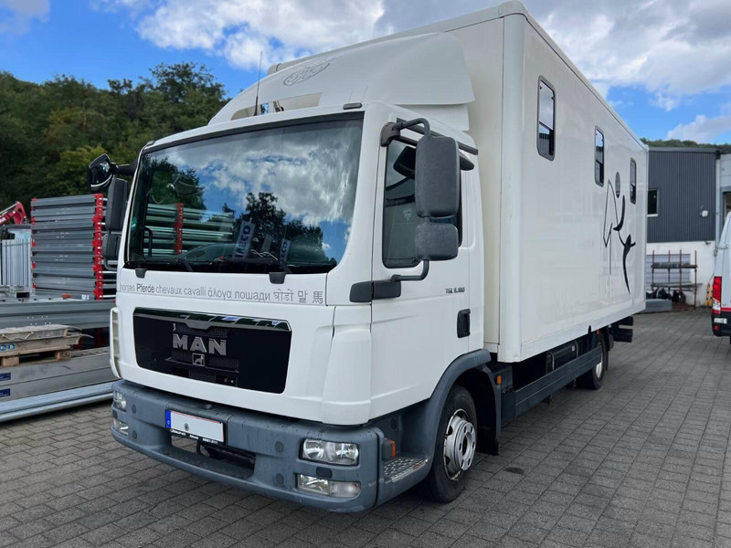 MAN TGL 8.180 - Horse transporter - Hobuseauto: pilt 1 MAN TGL 8.180 - Horse transporter - Hobuseauto: pilt 1