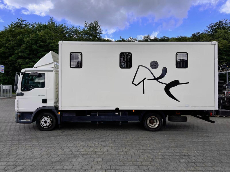 MAN TGL 8.180 - Horse transporter - Hobuseauto: pilt 3 MAN TGL 8.180 - Horse transporter - Hobuseauto: pilt 3