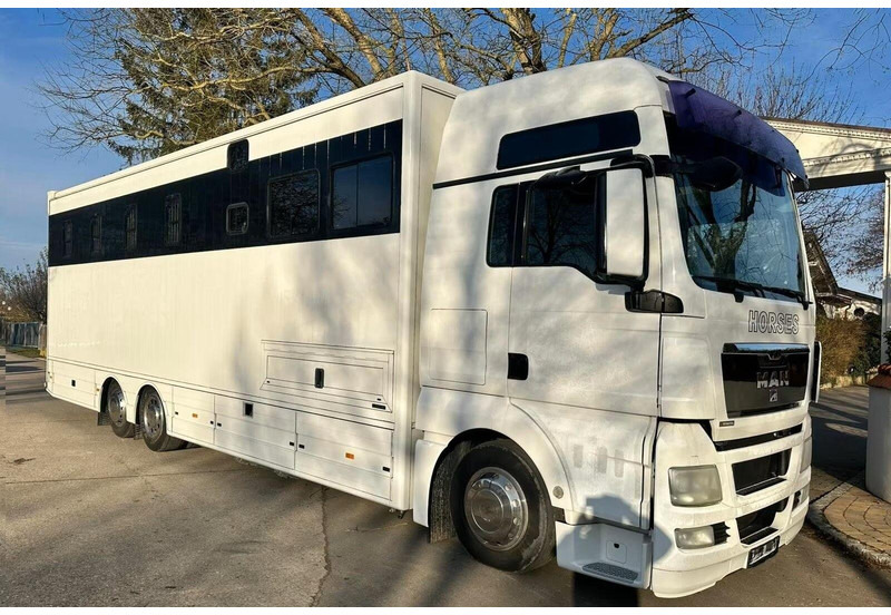 MAN TGX 26.440 - Horse transporter - Hobuseauto: pilt 2 MAN TGX 26.440 - Horse transporter - Hobuseauto: pilt 2