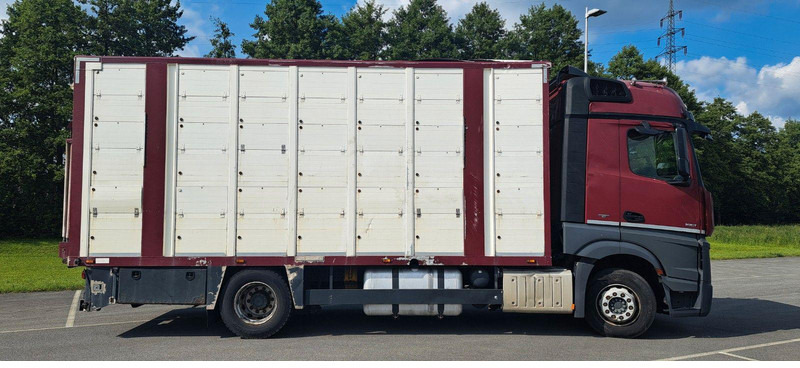 Mercedes-Benz Actros 1851 - Loomaveok: pilt 2 Mercedes-Benz Actros 1851 - Loomaveok: pilt 2