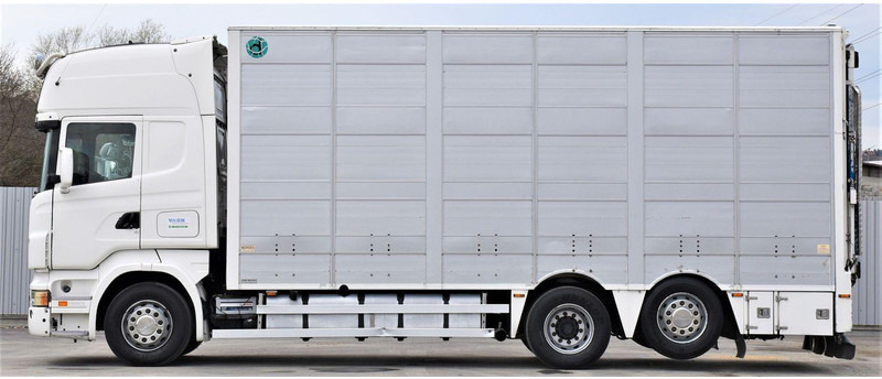 Scania R 500 - Loomaveok: pilt 3 Scania R 500 - Loomaveok: pilt 3