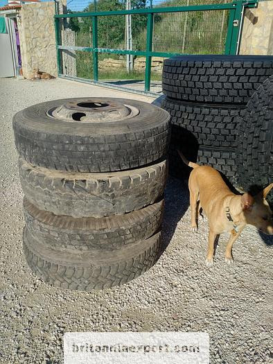 4 x used 7.50-16 LT tyres on 6 studs rims for Toyota Dyna 300 - Komplektne ratas: pilt 3 4 x used 7.50-16 LT tyres on 6 studs rims for Toyota Dyna 300 - Komplektne ratas: pilt 3