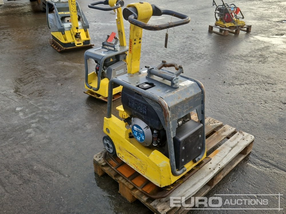 2016 Wacker Neuson DPU3760 HETS - Vibraatorplaat: pilt 2 2016 Wacker Neuson DPU3760 HETS - Vibraatorplaat: pilt 2