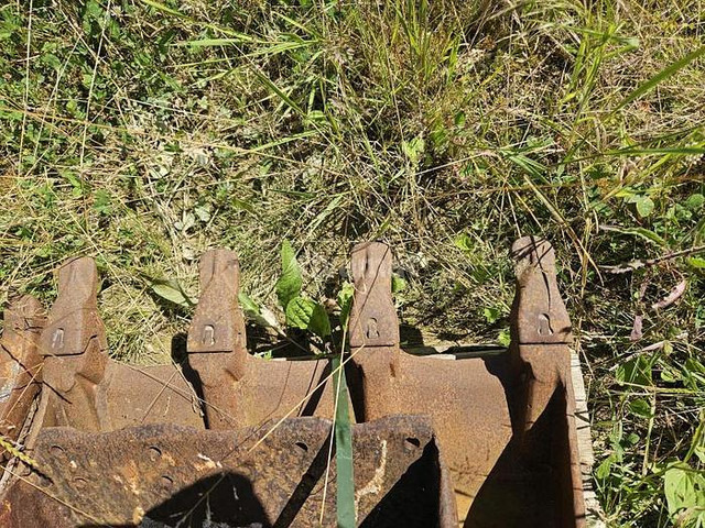 ARDEN QA11 - Kopp: pilt 3 ARDEN QA11 - Kopp: pilt 3