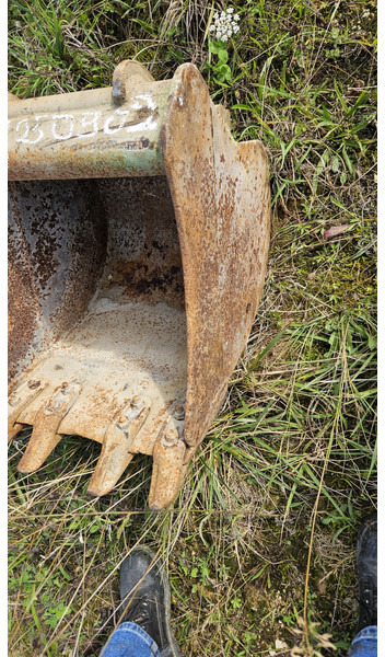 ARDEN QA13 - Kopp: pilt 2 ARDEN QA13 - Kopp: pilt 2