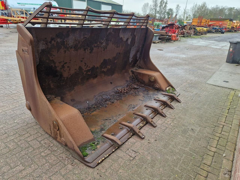 Onbekend - Kopp: pilt 4 Onbekend - Kopp: pilt 4