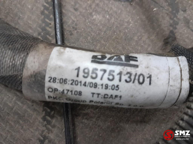 DAF Occ hoofdchassiskabelboom DAF - Kaablid/ Juhtmestik - Veoauto: pilt 3 DAF Occ hoofdchassiskabelboom DAF - Kaablid/ Juhtmestik - Veoauto: pilt 3