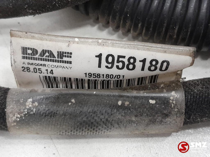 DAF Occ koplampkabelboom DAF - Kaablid/ Juhtmestik - Veoauto: pilt 3 DAF Occ koplampkabelboom DAF - Kaablid/ Juhtmestik - Veoauto: pilt 3