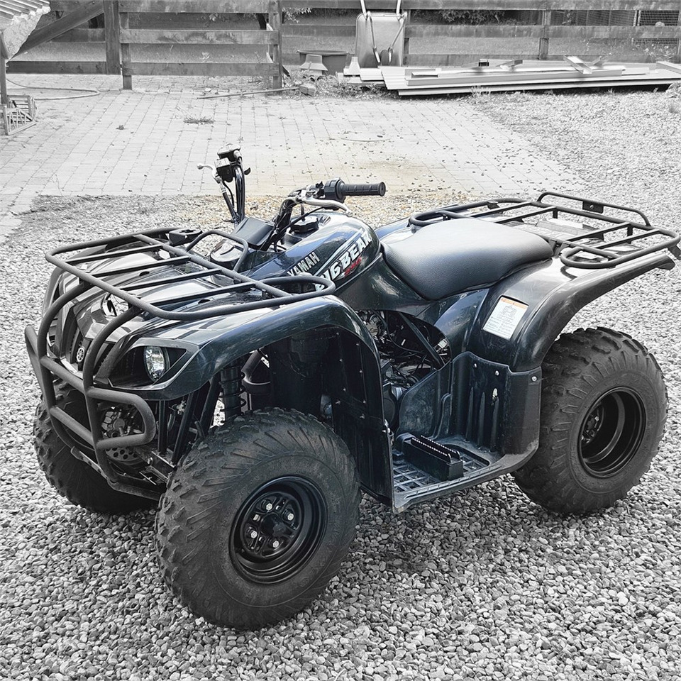 Yamaha YFM 250 - ATV: pilt 3 Yamaha YFM 250 - ATV: pilt 3