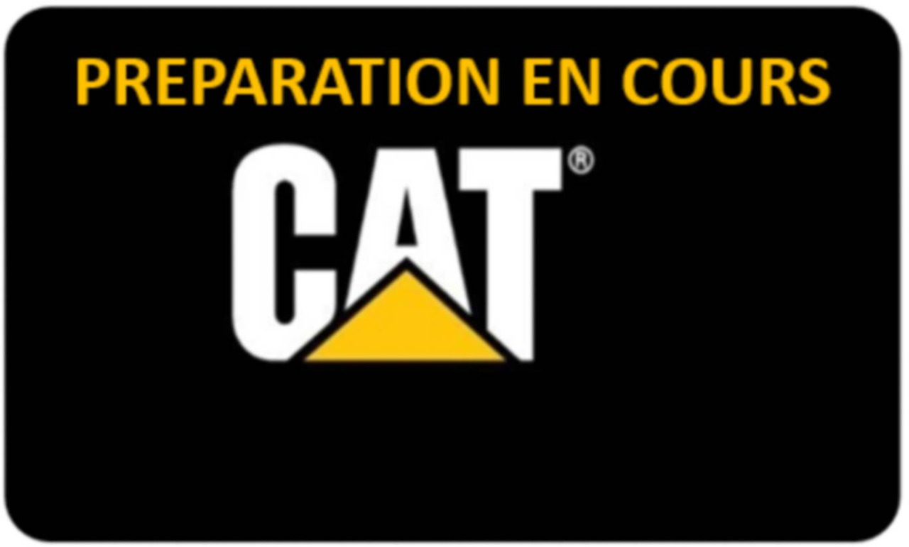 CAT 305E2 - Lintekskavaator: pilt 3 CAT 305E2 - Lintekskavaator: pilt 3