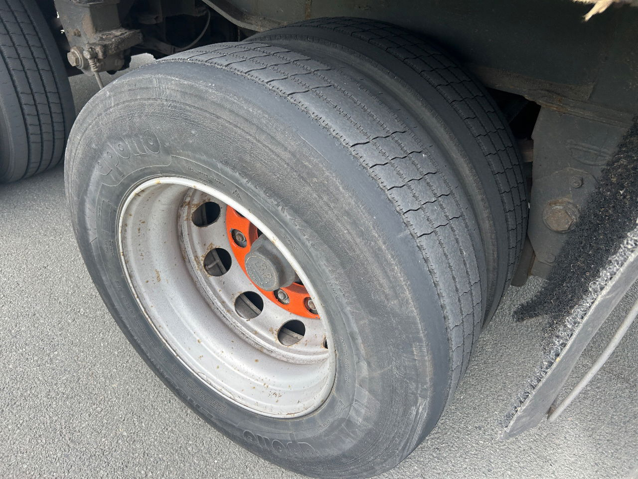 Floor Cityoplegger met Kooiaap - Tentpoolhaagis: pilt 4 Floor Cityoplegger met Kooiaap - Tentpoolhaagis: pilt 4