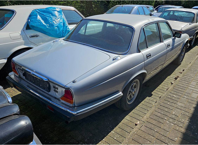 Jaguar 'XJ (series III) 6 _ 4.2 Automatic - Sedaan: pilt 2 Jaguar 'XJ (series III) 6 _ 4.2 Automatic - Sedaan: pilt 2