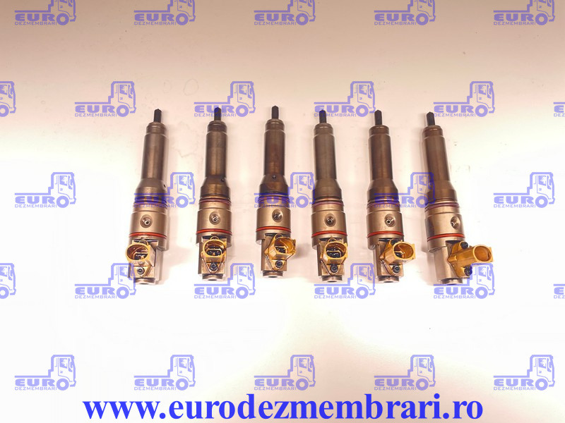 INJECTOARE DAF XF106 MX-13 2005596, 1993389 - Sissepritse - Veoauto: pilt 1 INJECTOARE DAF XF106 MX-13 2005596, 1993389 - Sissepritse - Veoauto: pilt 1