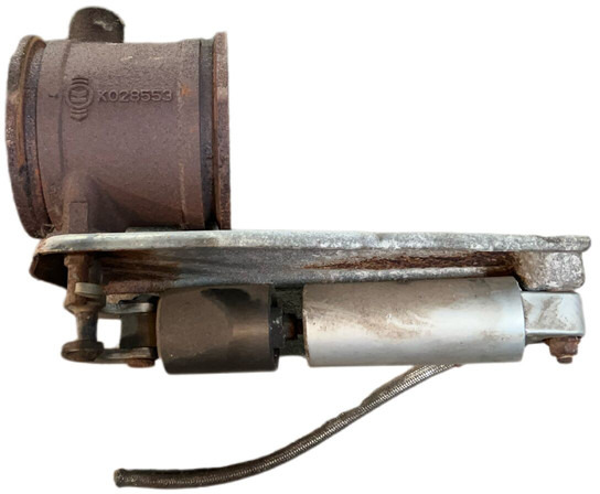 DAF - Piduriosad: pilt 1 DAF - Piduriosad: pilt 1