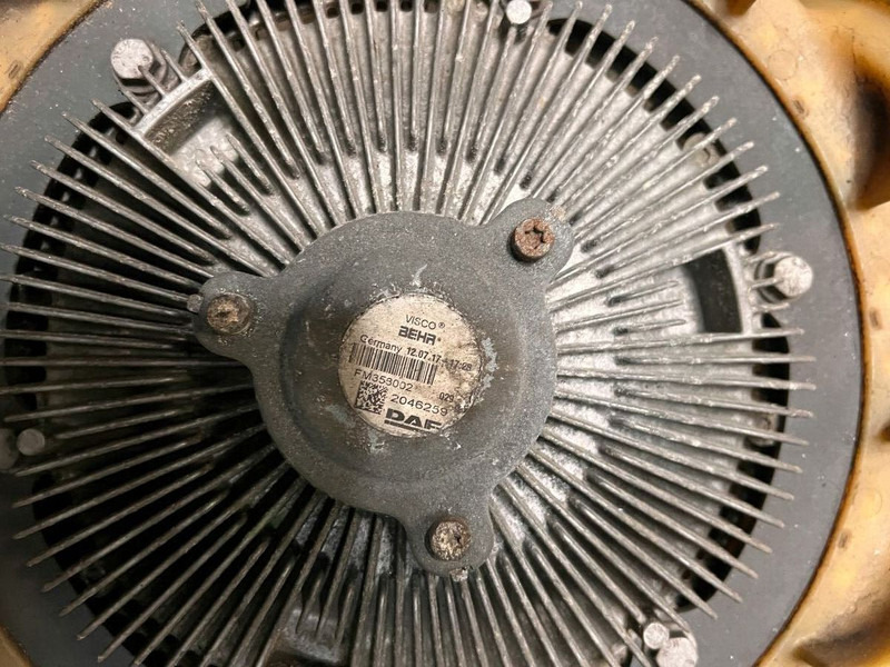 DAF - Puhur: pilt 4 DAF - Puhur: pilt 4