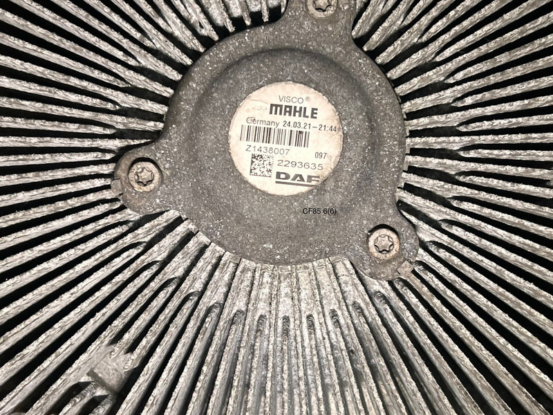 DAF - Puhur: pilt 3 DAF - Puhur: pilt 3