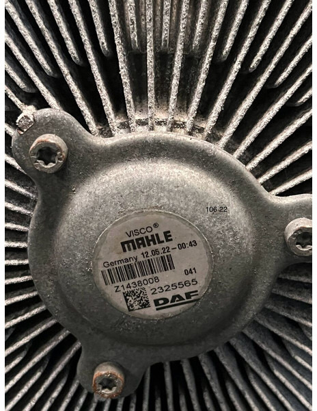 DAF - Puhur: pilt 2 DAF - Puhur: pilt 2