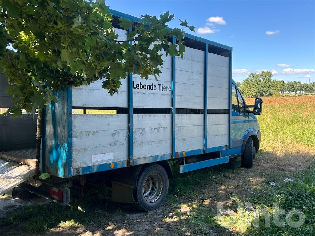C65C IVECO (2009) - Loomaveok, Tarbesõiduk: pilt 3 C65C IVECO (2009) - Loomaveok, Tarbesõiduk: pilt 3
